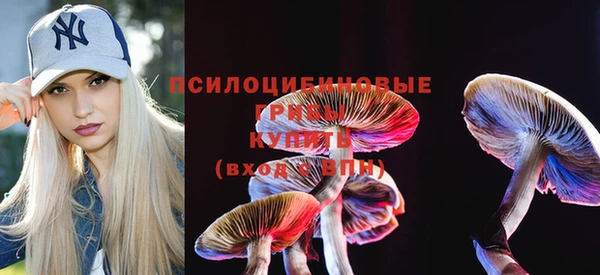ГАЛЛЮЦИНОГЕННЫЕ ГРИБЫ Абинск